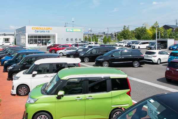 多種多様な車が揃っている様子