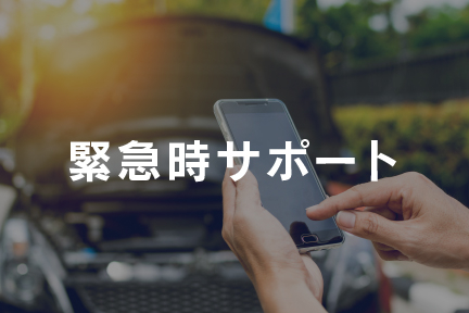 緊急時サポート