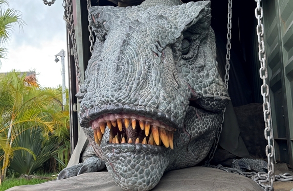 社員旅行【沖縄編＜前編＞】